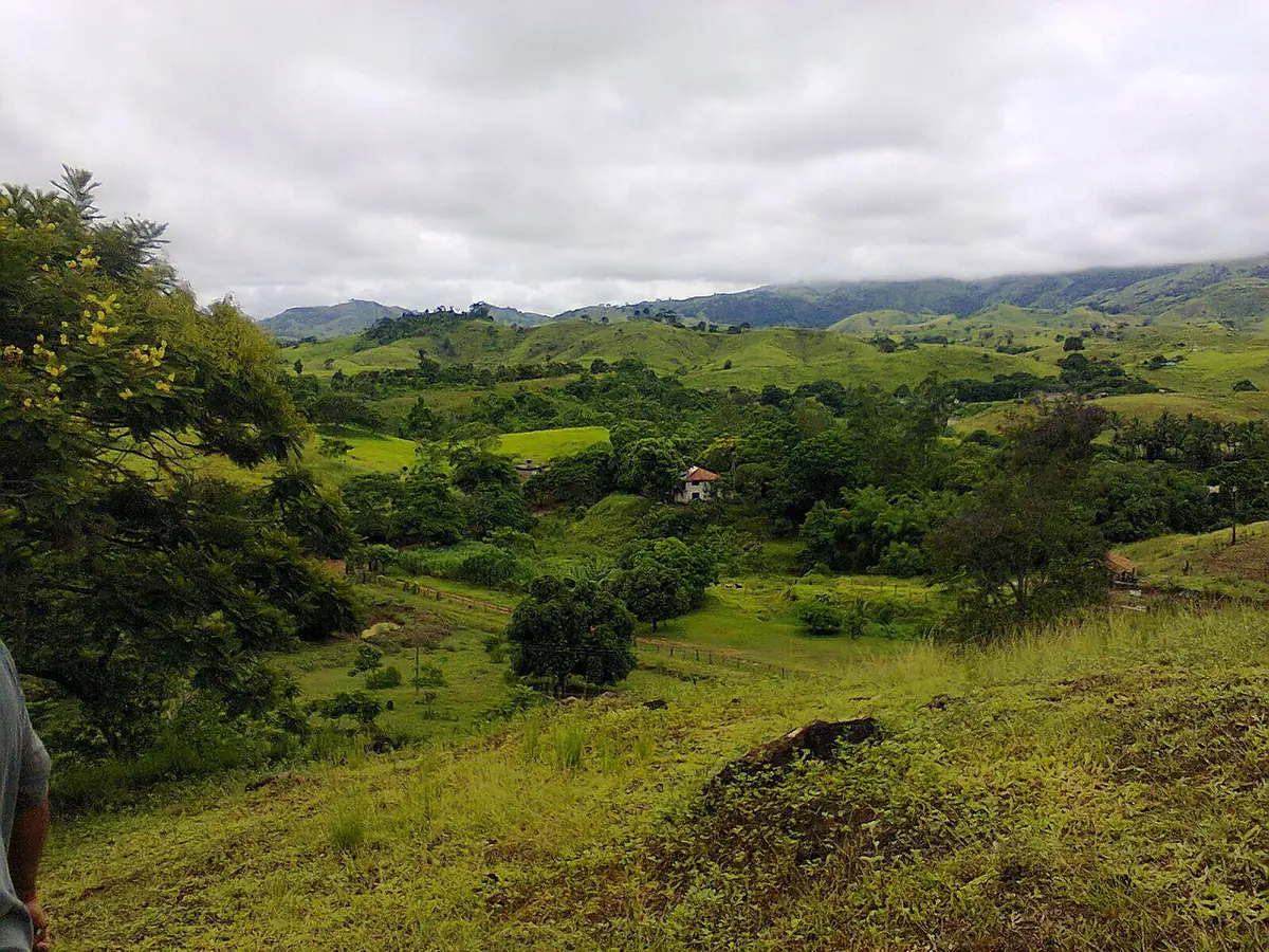 Bom Jardim (RJ)