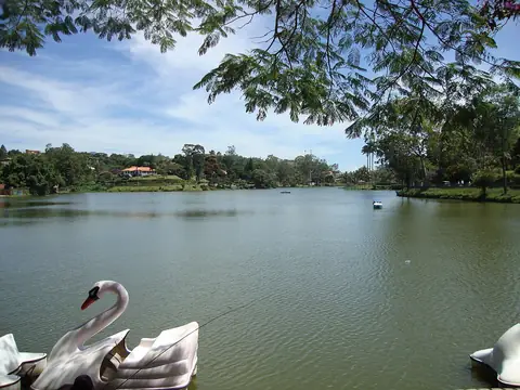 Miguel Pereira (RJ)